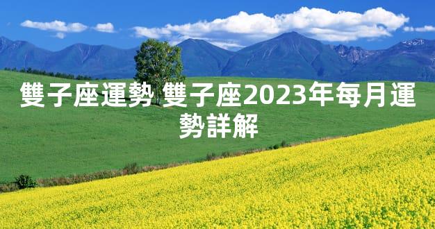 雙子座運勢 雙子座2023年每月運勢詳解